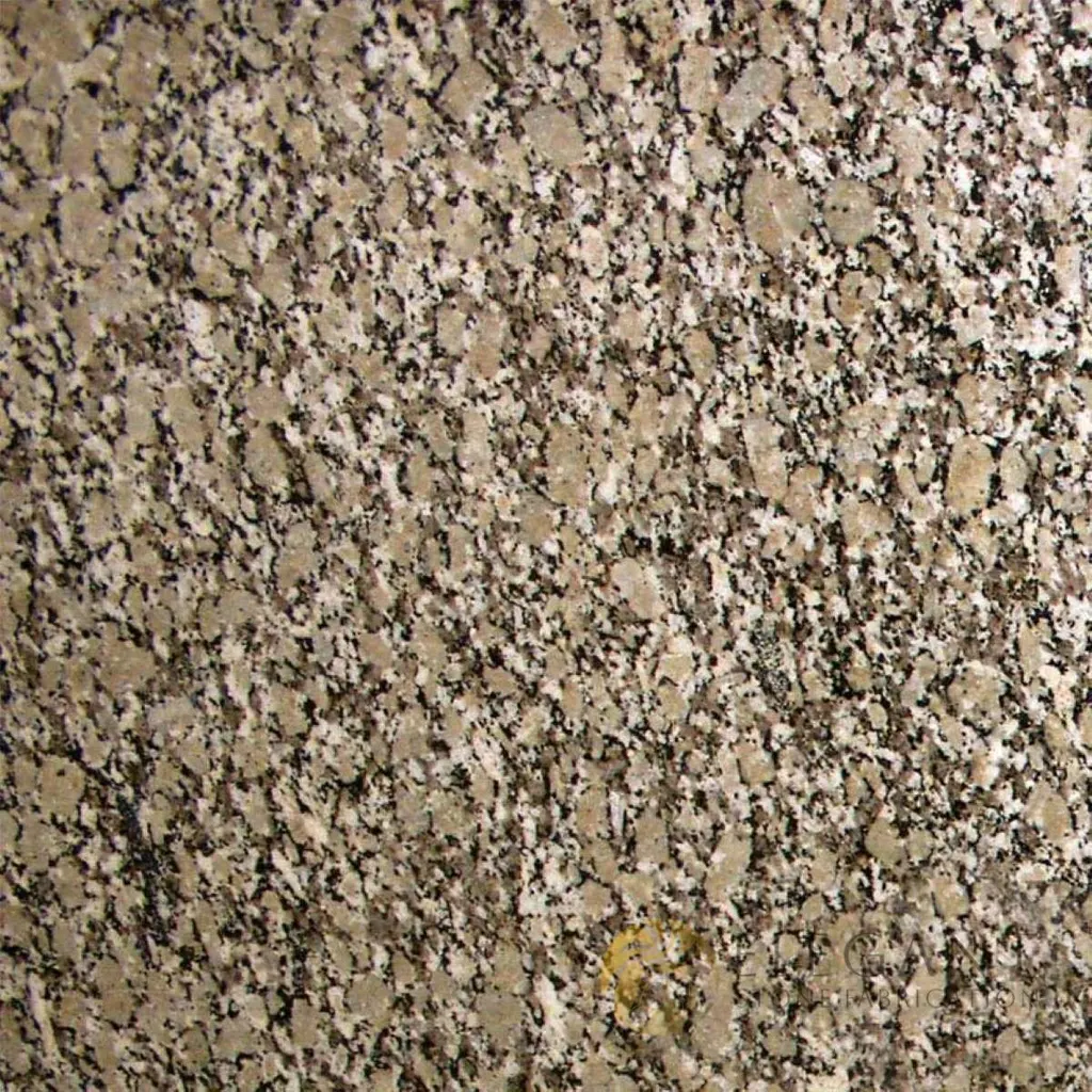 Autumn Beige slab