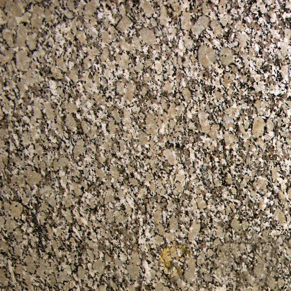 Autumn Beige slab