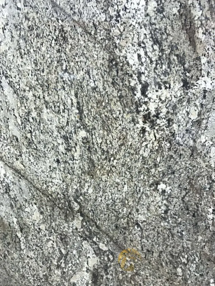 Juprana Persia Olive Granite slab