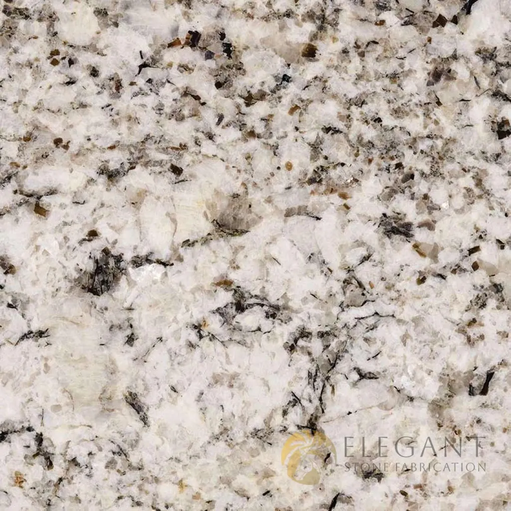 Oyster White slab